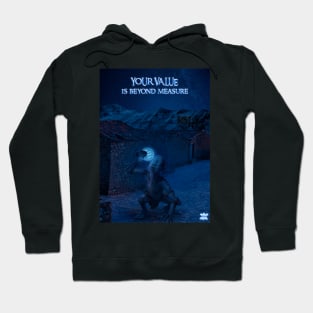 JSK Your value is beyond measure Hoodie